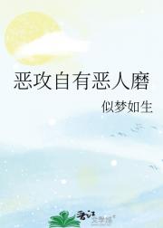 恶攻自有恶人磨
