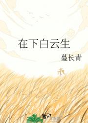在下白云生