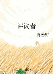 评议者
