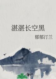 湛湛长空黑