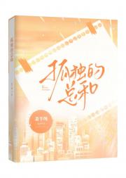 孤独的总和