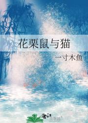 花栗鼠与猫