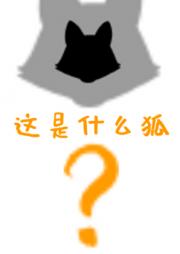 宫双子过分美丽但实在幼稚