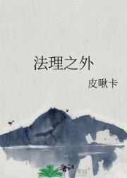法理之外