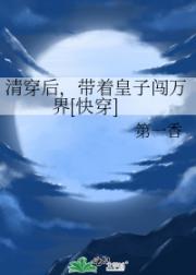 清穿后，带着皇子闯万界（快穿）
