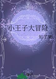 小王子大冒险