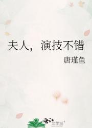 夫人，演技不错