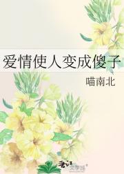 爱情使人变成傻子