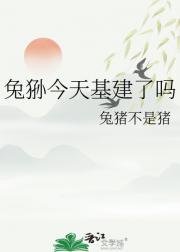 兔狲今天基建了吗