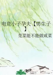 电竞小子孕夫【男生子】