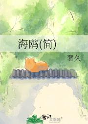 海鸥(简)