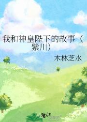 我和神皇陛下的故事（紫川）