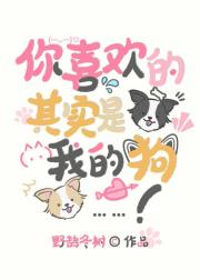 你喜欢的其实是我的狗