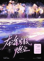 在海岸线燃火