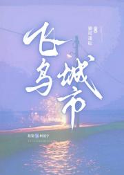 飞鸟城市