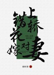 错上花轿嫁对妻（女尊）