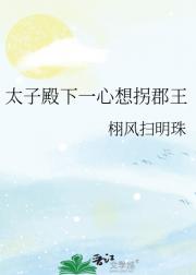 太子殿下一心想拐郡王
