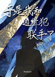 于是我和通缉犯联手了