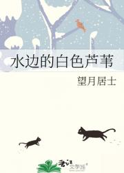 水边的白色芦苇