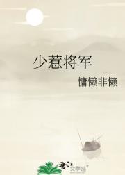 少惹将军