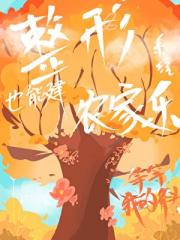 整形系统也能建农家乐