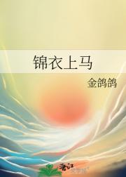锦衣上马
