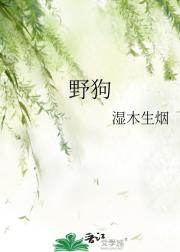 野狗