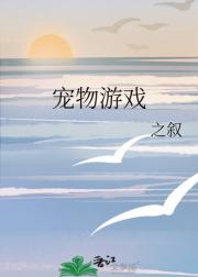 宠物游戏