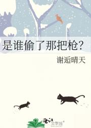 是谁偷了那把枪？