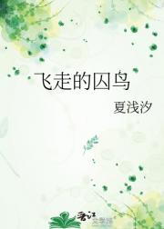 飞走的囚鸟