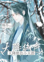 天降绝色小夫郎