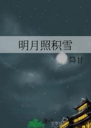 明月照积雪