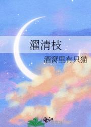 濯清枝