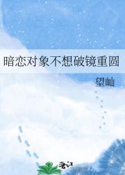 暗恋对象不想破镜重圆