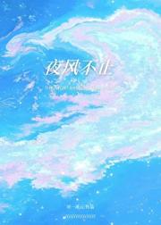 夜风不止
