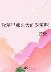 我梦里那么大的对象呢