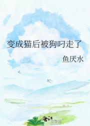 变成猫后被狗叼走了