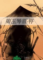 碎玉琴音-停