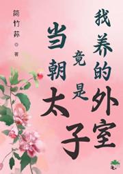 我养的外室竟是当朝太子