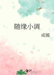 随缘小调
