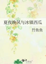 夏夜晚风与冰镇西瓜