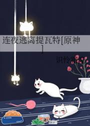 连夜逃离提瓦特[原神]