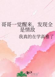 哥哥一觉醒来，发现全是情敌