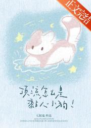 顶流怎么是黏人小狗!