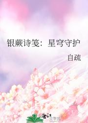 银蕨诗笺：星穹守护