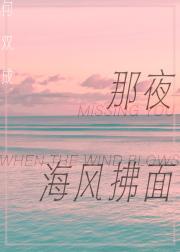 那夜海风拂面
