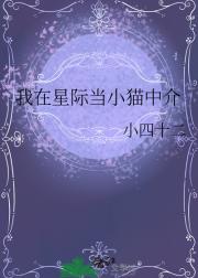 我在星际当小猫中介