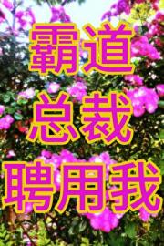 和顶疾霸总破镜重圆后！