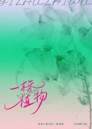 一株植物