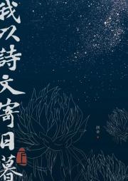 我以诗文寄日暮